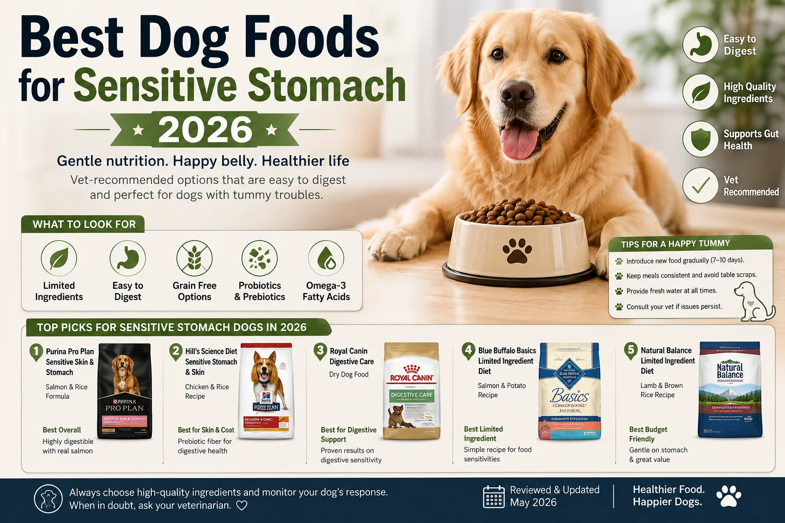 Best dog foods for sensitive stomach 2026